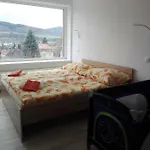 빌라 Lom Velké Losiny