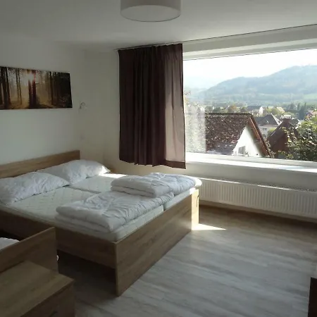 Willa Lom Velké Losiny